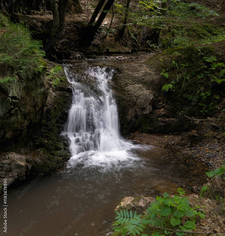 A small waterfall on a forest stream. A small waterfall on a forest stream.