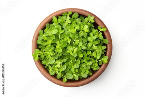 Bowl of fresh arugula on white background viewed from above photo