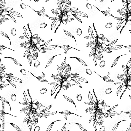 Olive tree branch, leaves and berries seamless pattern. Botanical hand drawn vector linear drawing illustration. Floral clipart for fabric, package, wallpaper, food packaging. Isolated from background
