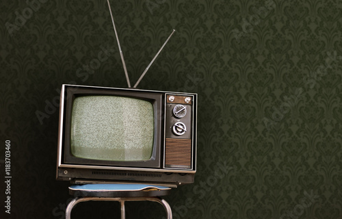 Television in vintage room