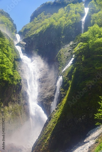立山 称名滝　 初夏の風景