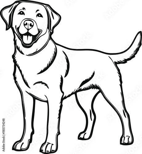 Labrador Retriever dog line vector illustration white background