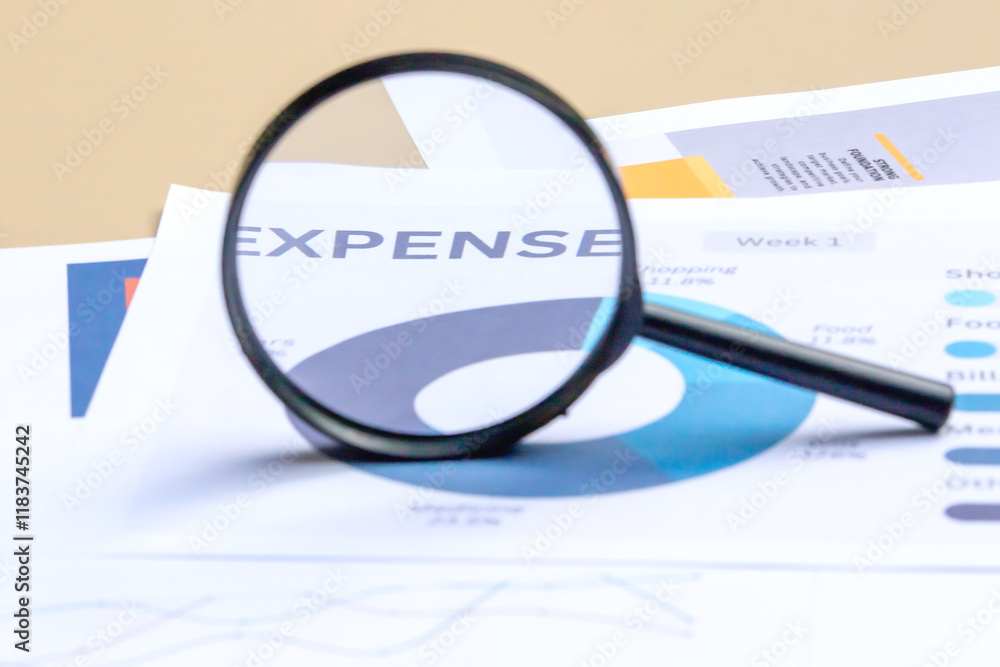 Business concept image featuring a magnifying glass on financial and expense charts. Business concept image featuring a magnifying glass on financial and expense charts.