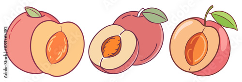 nectarine vector icon, fruit vector illustration - simple illustration of nectarine perfect for logos, and fruit-themed designs.