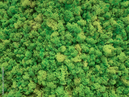 Top view of artificial green plant/moss texture background. Flat green grass texture background.