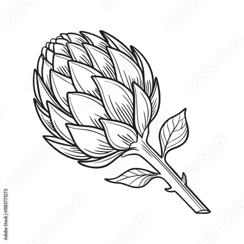 Artichoke Vegetable Line Art. Vector illustration 