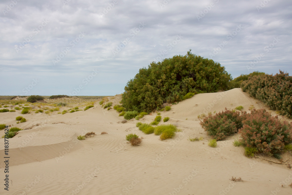 Roadless to Karaozek, Lake Balkhash. Kazakhstan. Roadless to Karaozek, Lake Balkhash. Kazakhstan.