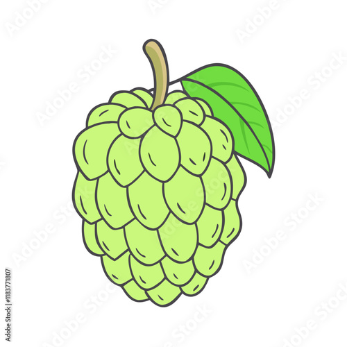 Cuadro en lienzo custard apple vector icon, fruit vector illustration - simple illustration of custard apple perfect for logos, and fruit-themed designs