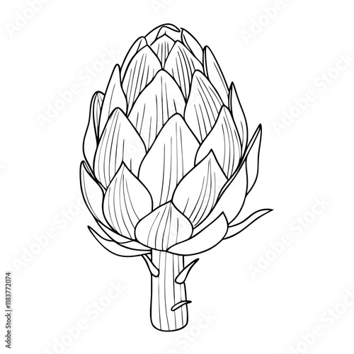 Artichoke Vegetable Line Art. Vector illustration 