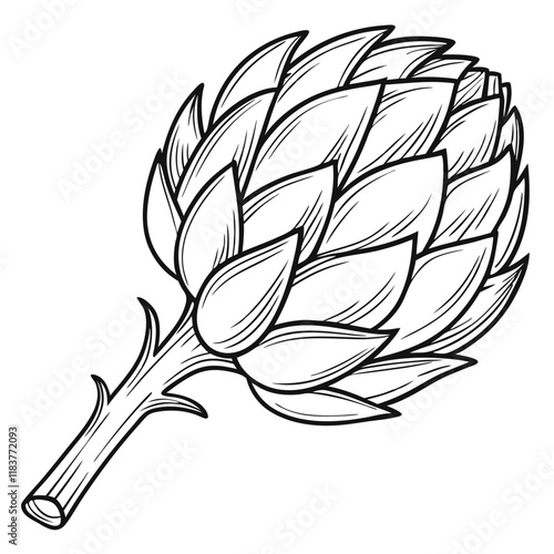 Artichoke Vegetable Line Art. Vector illustration 