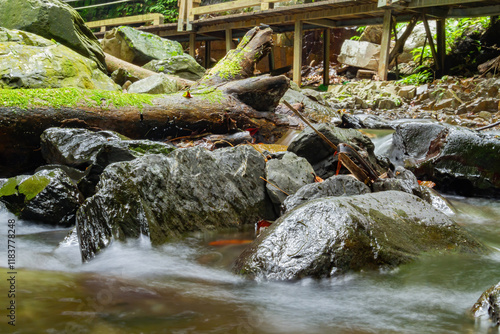 Sunny exterior view of the landscape of Linmei Shipan Trail