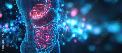 Human Digestive System: A 3D Digital Anatomy Visualization