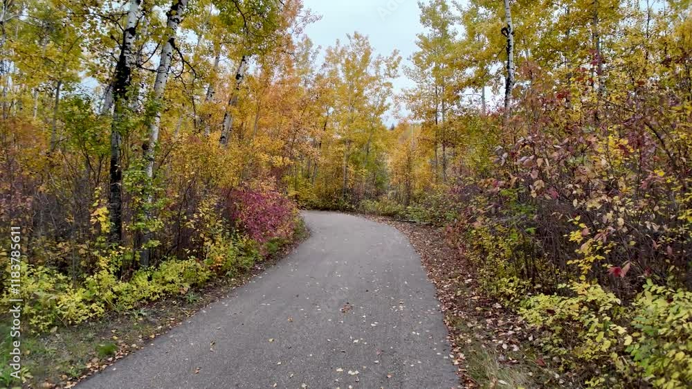 Devon Voyageur Park Walk Way In Autumn Devon Voyageur Park Walk Way In Autumn