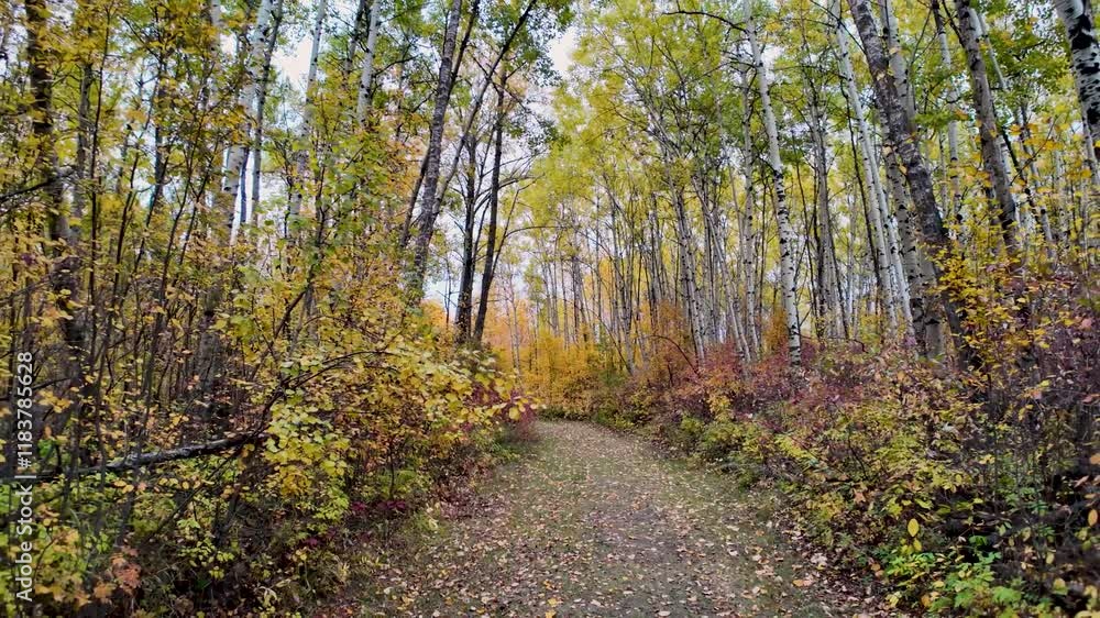 Amazing Colors Of Devon Voyageur Park Amazing Colors Of Devon Voyageur Park