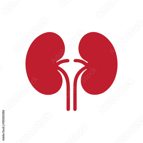 Red human kidney icon silhouette vector illustration design on white background.