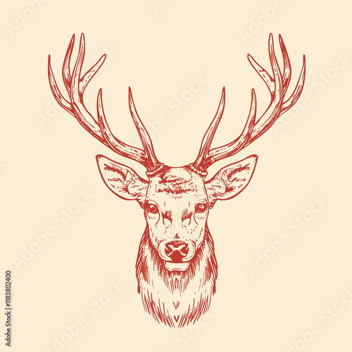 Deer. Sketchy, black and white, hand drawn portrait of a deers head on a white background.