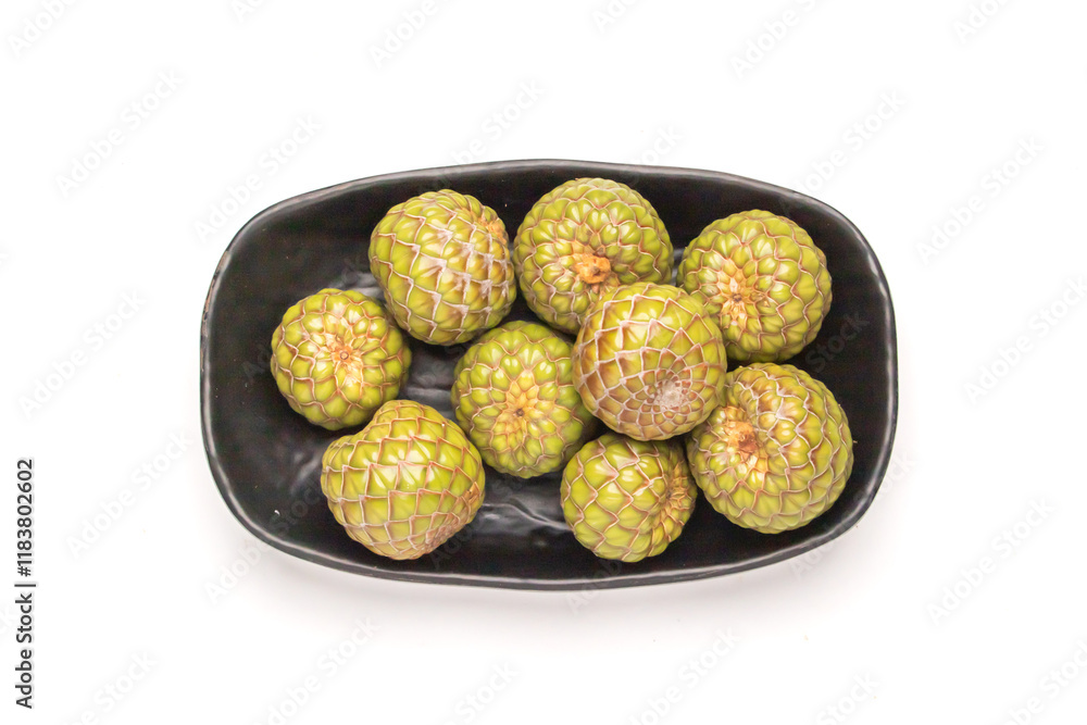 Fresh Metroxylon Sagu (Rumbia) Fruit on bowl Isolated on White Surface Fresh Metroxylon Sagu (Rumbia) Fruit on bowl Isolated on White Surface