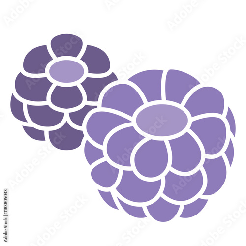 Raspberry icon