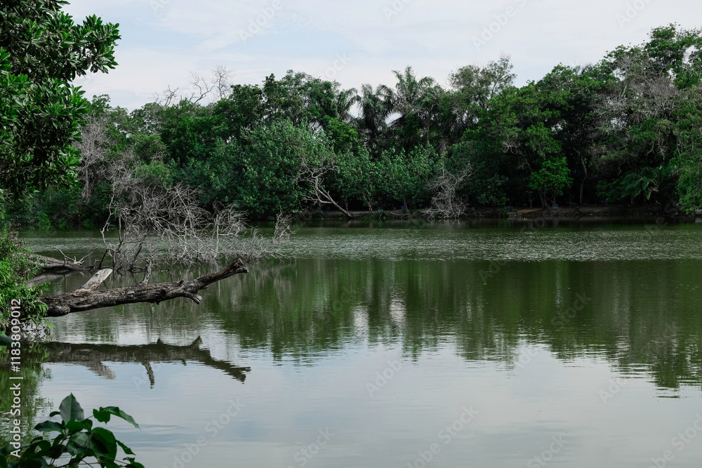 Beautiful landscape view of Alam Mayang Park in the afternoon, Pekanbaru, Indonesia.
