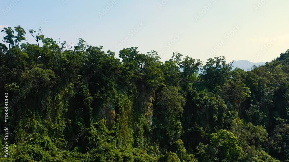 TAIWAN, CHINA - JANUARY 7, 2025: Lush green mountains showcase diverse vegetation in Taiwans stunning natural landscape TAIWAN, CHINA - JANUARY 7, 2025: Lush green mountains showcase diverse vegetation in Taiwans stunning natural landscape