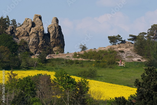 Teufelsmauer ( Harz ) mit Hamburger Wappen bei Timmenrode	 photo