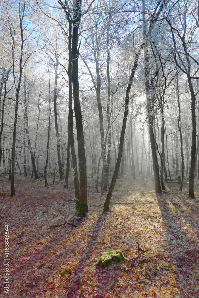 Crystalline silence blankets the forest, where frozen branches glisten with icy dew, transforming winter's landscape into a pristine white wonderland Crystalline silence blankets the forest, where frozen branches glisten with icy dew, transforming winter's landscape into a pristine white wonderland