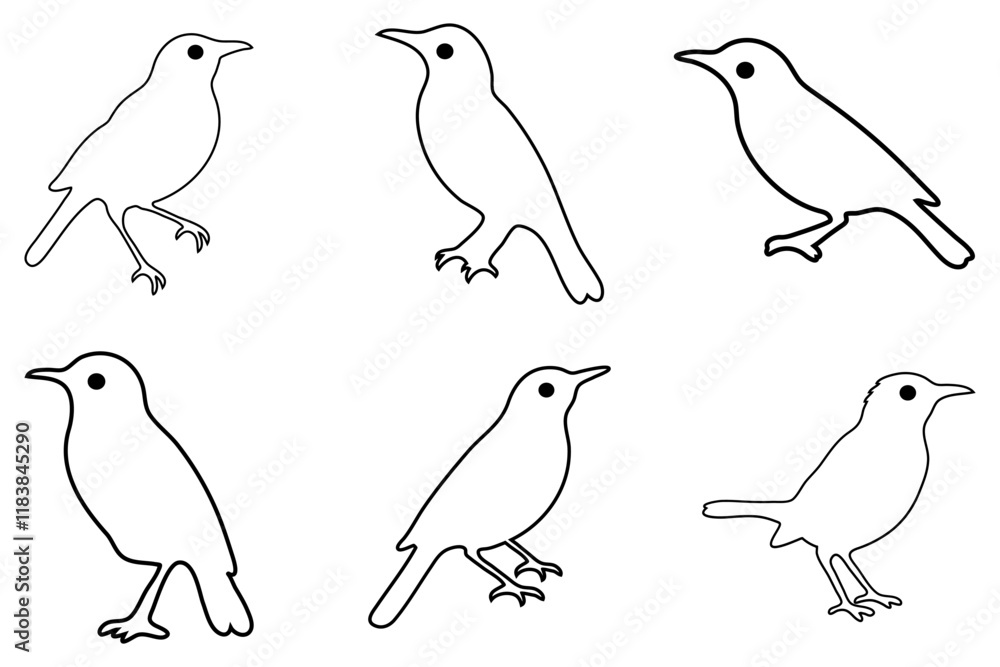Fototapeta premium Outline Starling Bird Illustration Design Set