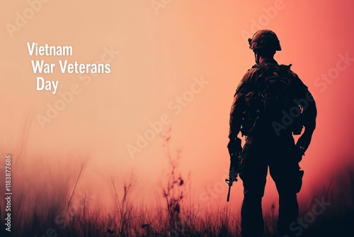 Vietnam War Veterans Day Honor: Silhouette of Soldier in Grassy Field at Sunset, Commemorating Military Service and Sacrifice