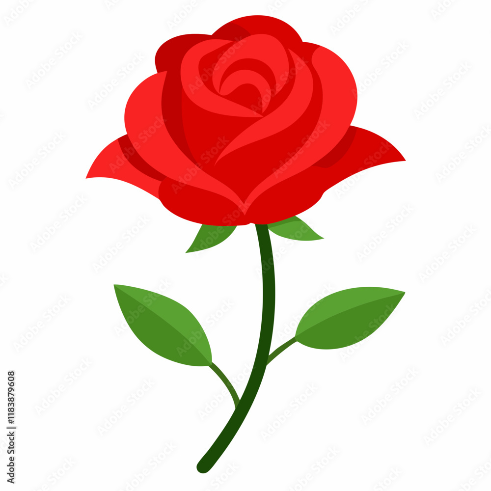 red rose red rose