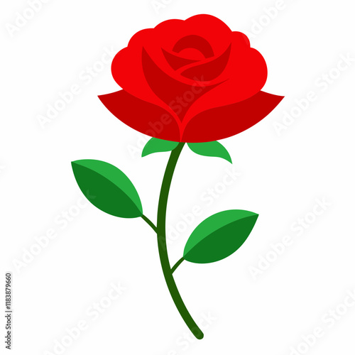 red rose isolated on white