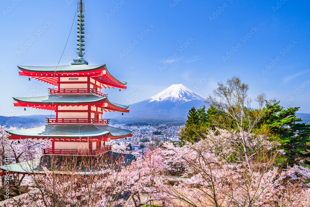 春の新倉山浅間公園　富士山、五重塔、満開の桜【山梨県・富士吉田市】　
Mt. Fuji and the five storied pagoda seen from Arakurayama Sengen Park where the cherry blossoms are in full bloom - Yamanashi, Japan