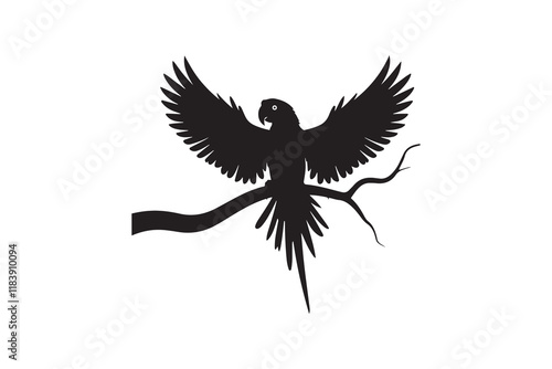 Parrot silhouette and vector