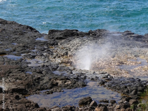 Slika na platnu Coastal blowhole and ocean backdrop
