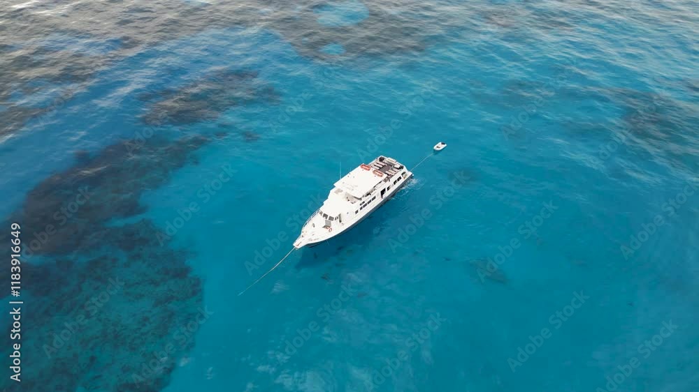 Aerial top down of boat surrounded by sharks Aerial top down of boat surrounded by sharks