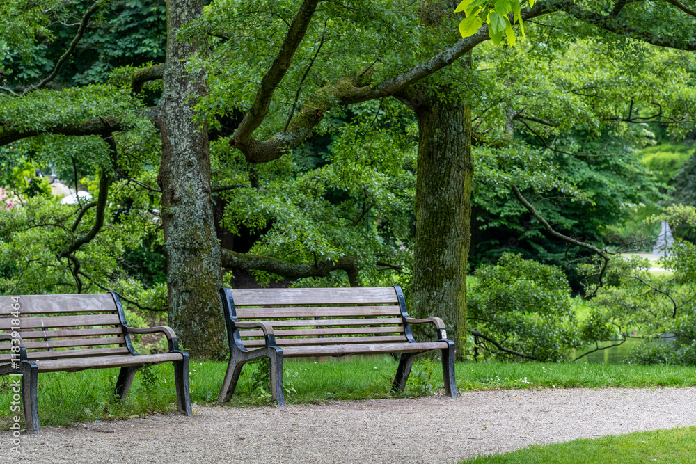 Two rustic wooden benches nestled under lush green trees in a park, creating an inviting space for relaxation and reflection amidst the surrounding nature. Two rustic wooden benches nestled under lush green trees in a park, creating an inviting space for relaxation and reflection amidst the surrounding nature.