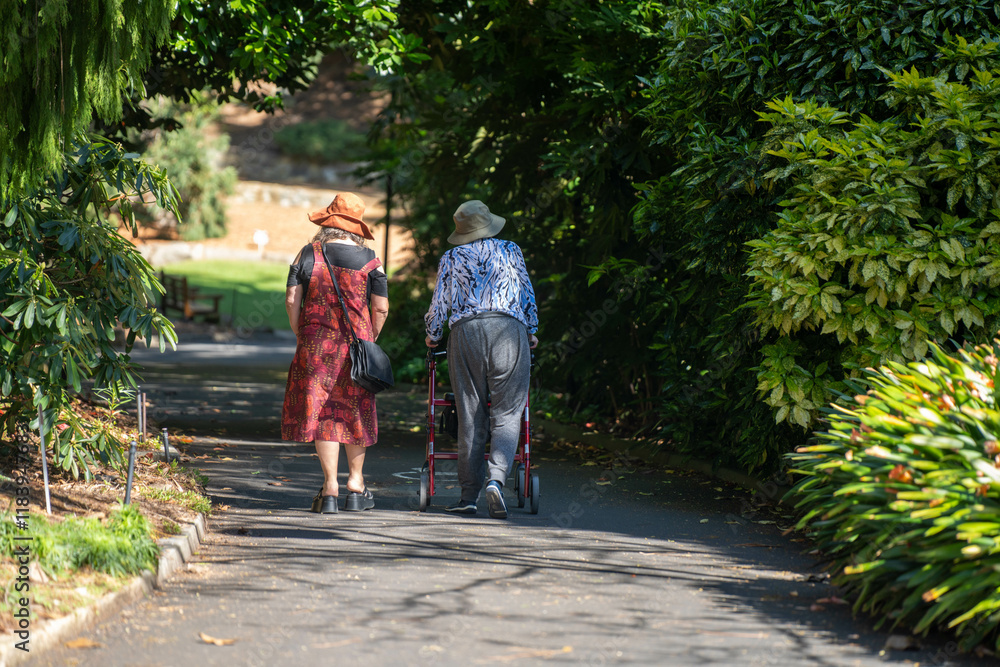 old couple walking with a little dog on a path in a park by the forest. elderly couple in love in australia in spring. cement path old couple walking with a little dog on a path in a park by the forest. elderly couple in love in australia in spring. cement path