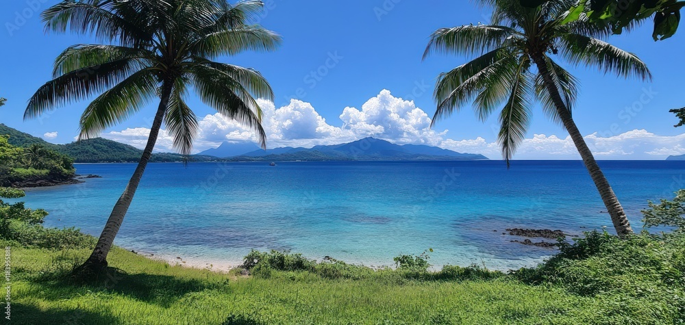 Serene Tropical Paradise: Coastal View with Palm Trees and Turquoise Waters Serene Tropical Paradise: Coastal View with Palm Trees and Turquoise Waters