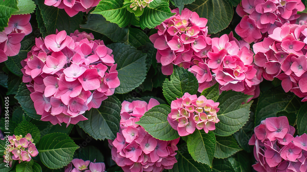 flower blossom pattern wallpaper flower blossom pattern wallpaper