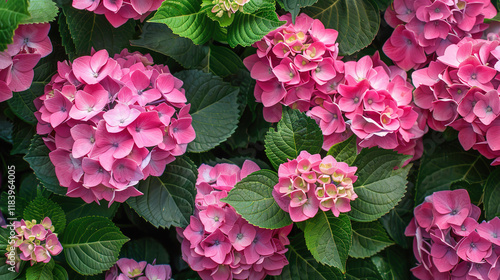 Wallpaper Mural flower blossom pattern wallpaper Torontodigital.ca