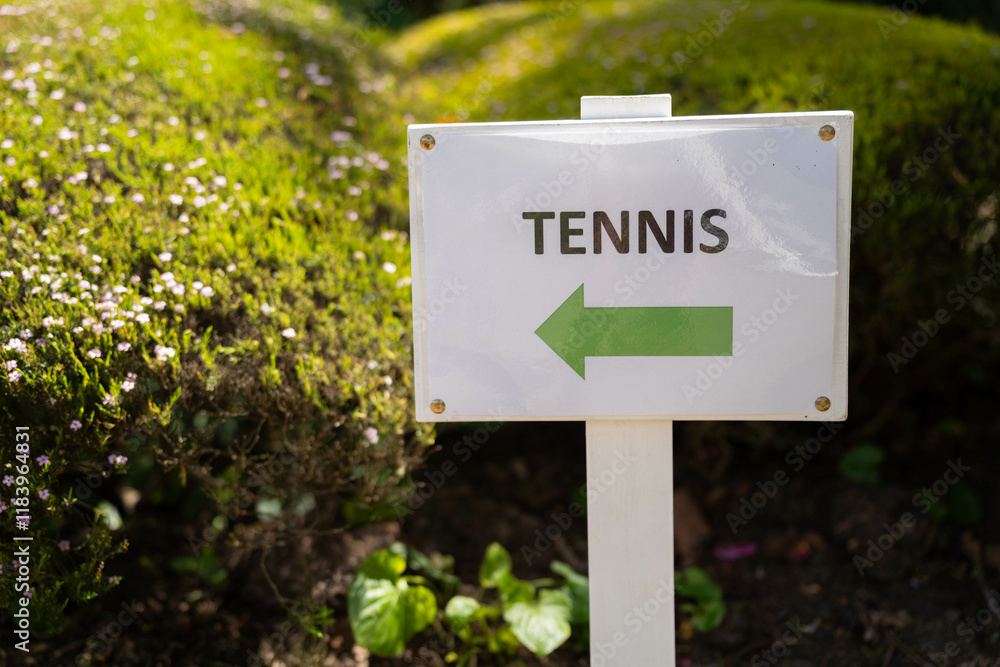 children playing tennis on grass, kids playing lawn tennis in australia as a family in summer children playing tennis on grass, kids playing lawn tennis in australia as a family in summer