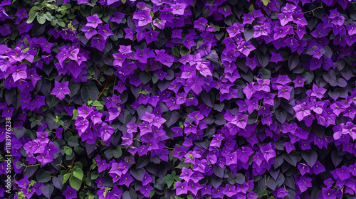 purple violet floral pattern wallpaper