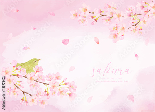 鶯と桜の花のかわいいイラスト素材