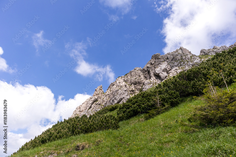Steep hillside with rocky surface covered with grass and bushes, blue sky with white clouds in the background.
Steep hillside with rocky surface covered with grass and bushes, blue sky with white clouds in the background.
