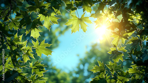 Sunlit Green Maple Leaves: A Vibrant Nature Photography photo