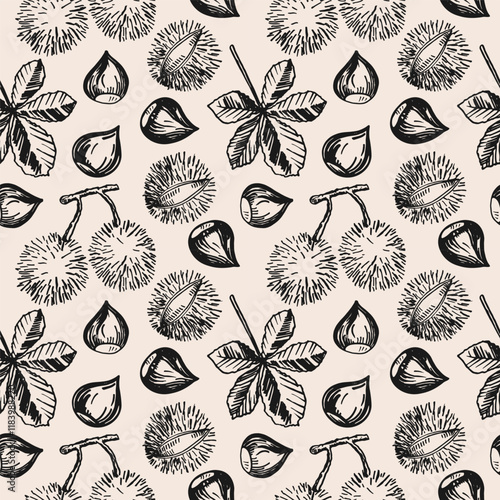 Vector seamless pattern with Chestnuts nuts. Hand drawn repeating background with chestnut plant, fruits and leaf. Design for wrapping, logo, template, card, print, paper, label. Organic product, food