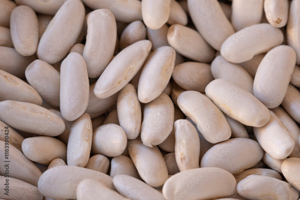 Large white beans forming a beautiful texture, ideal for preparing Asturian fabada Large white beans forming a beautiful texture, ideal for preparing Asturian fabada