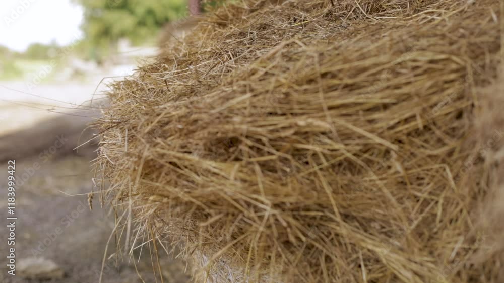 Close-Up track across Hay Bale with Shallow Depth of Field in Rural Setting Close-Up track across Hay Bale with Shallow Depth of Field in Rural Setting