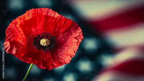 Stunning Close-up of a Vibrant Red Poppy