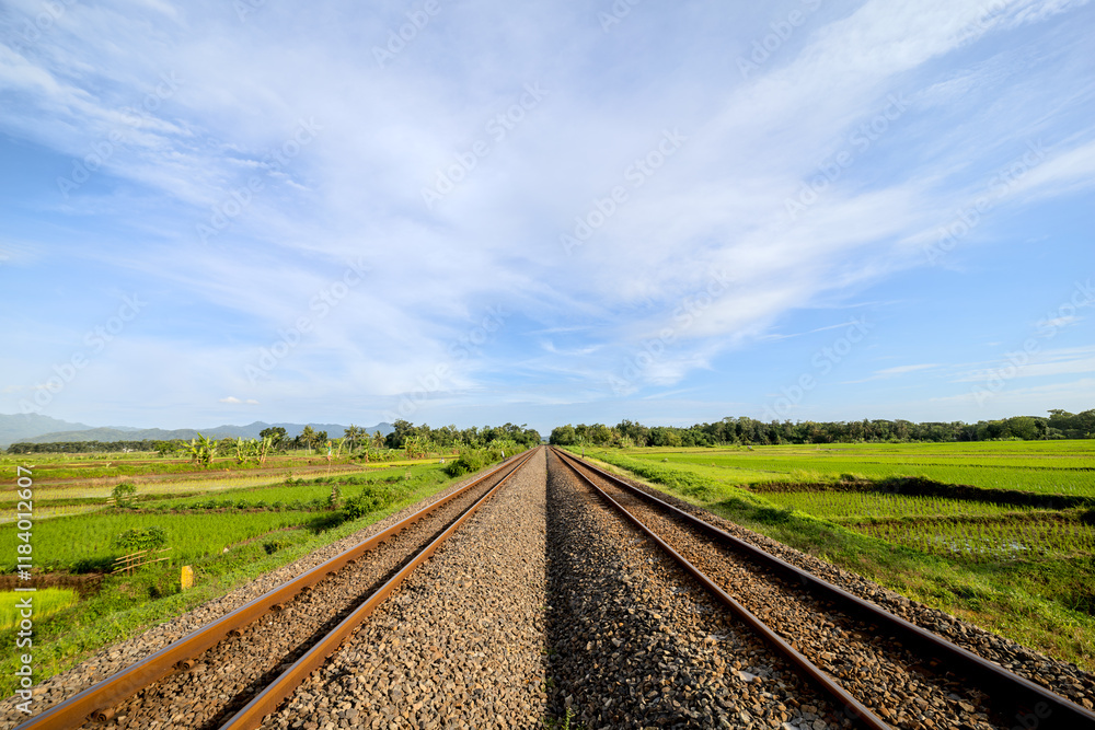 Railway Tracks Across Green Rice Fields on a Sunny Morning. Two-Way Railway Lines Through Rice Fields Under Clear Skies. Serene Morning View of Railway Tracks and Rice Paddies Railway Tracks Across Green Rice Fields on a Sunny Morning. Two-Way Railway Lines Through Rice Fields Under Clear Skies. Serene Morning View of Railway Tracks and Rice Paddies