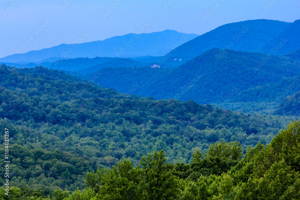 Obraz premium The mountains are covered in lush green trees and the sky is a deep blue